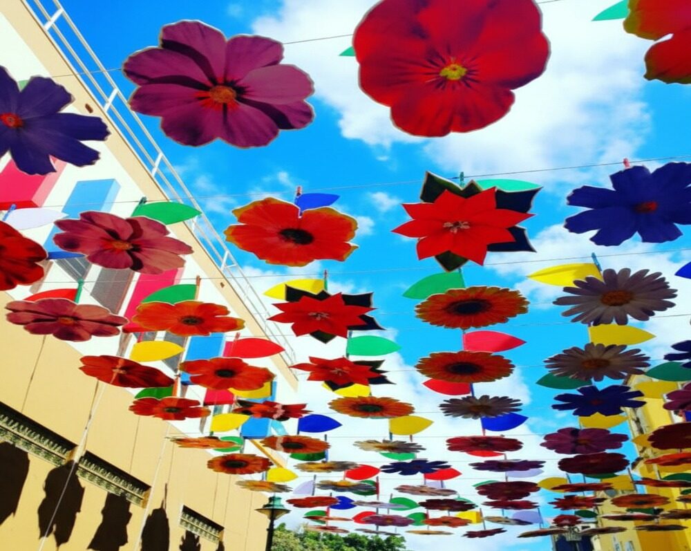 Paseo de las Flores gemini generated image j56rfej56rfej56r convertido a 1000x860 (1)