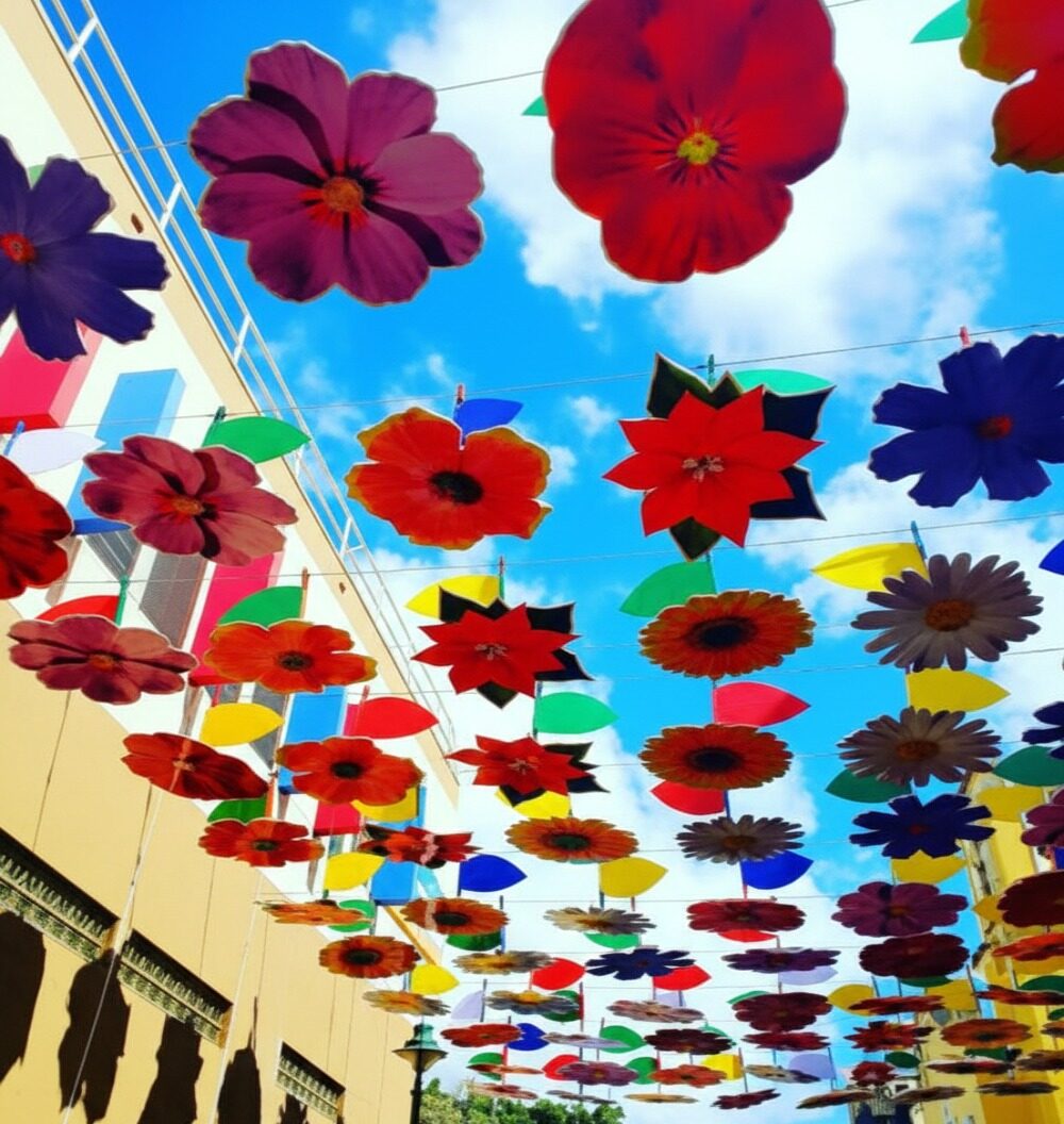 Paseo de las Flores paseo de las flores img mod