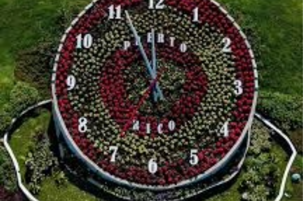 Home nueva imagen reloj de las flores