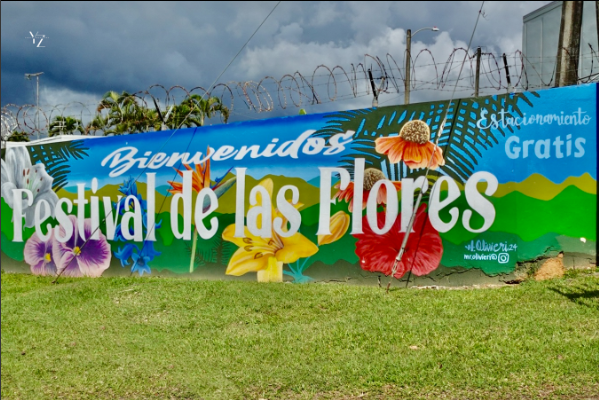 Festival de las Flores festival de la flores