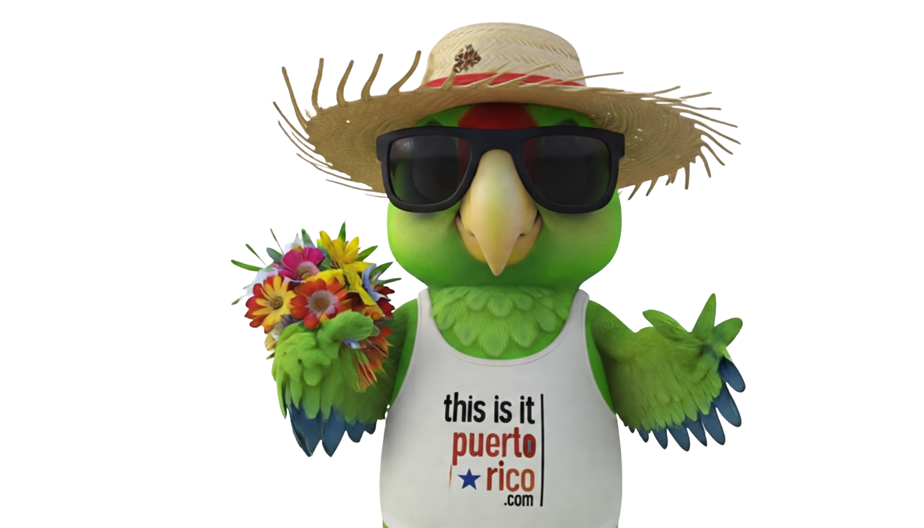 sin fondo croquis ff