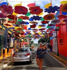 paseo de las flores 2