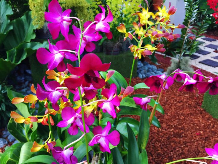 Arreglos florales