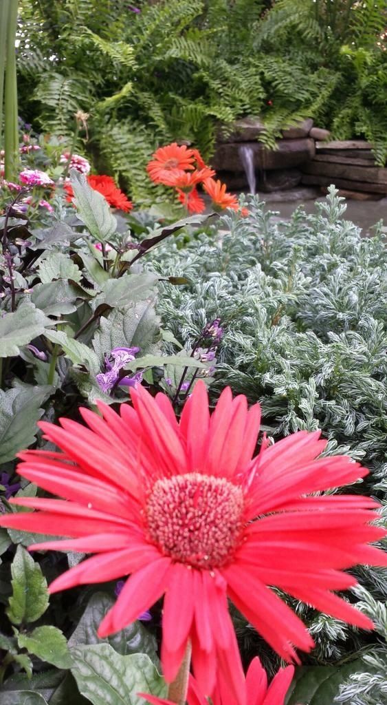 Jardines interactivos Aibonito